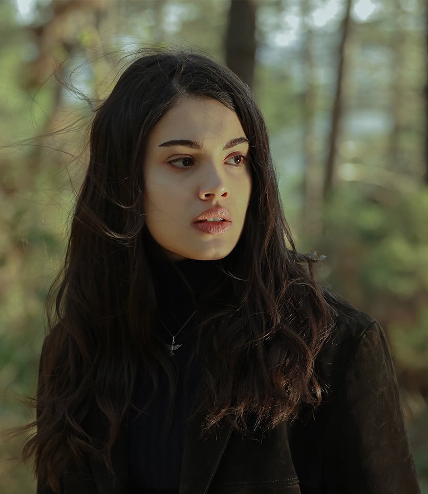 lizge cömert in carpinti