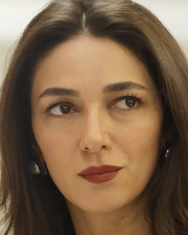 sebnem hassanisoughi in doctor another life